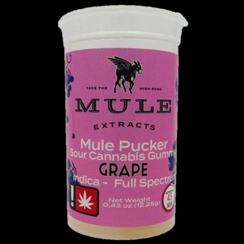 Mule - 100mg Pucker - Sour Grape